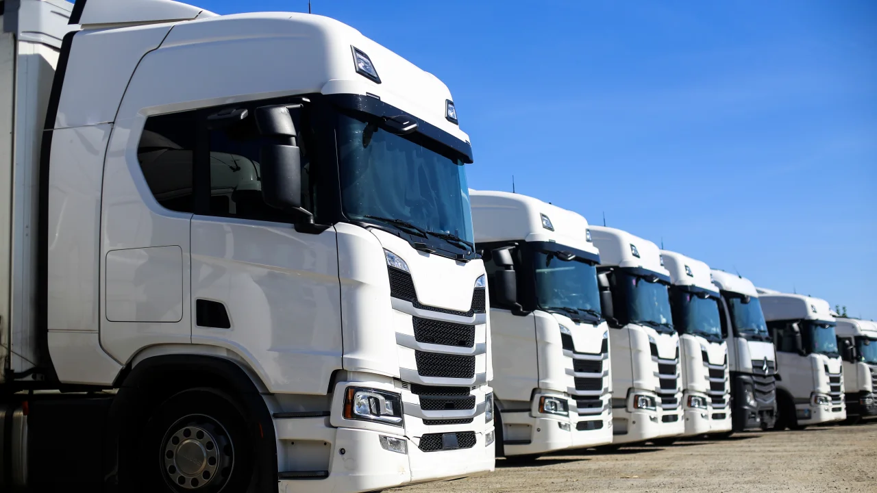 Flota de vehículos con grabado de patentes conforme a Ley 21.601